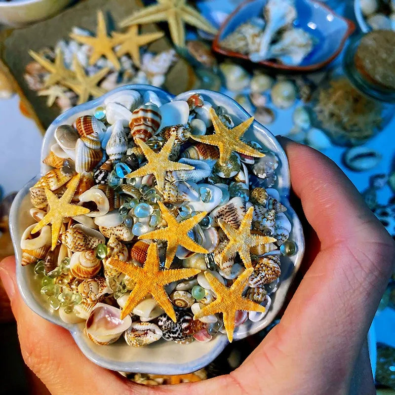 ๐Sea Treasures in a Bottle